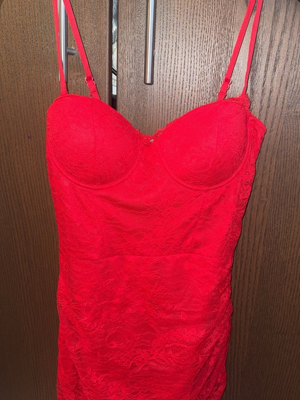 Red Lace Bustier Mini Dress